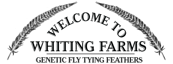 Logo Whiting Farms